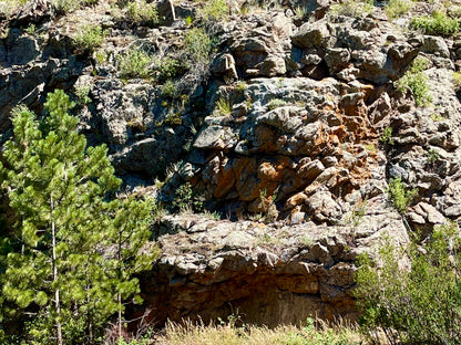 Copper Ridge